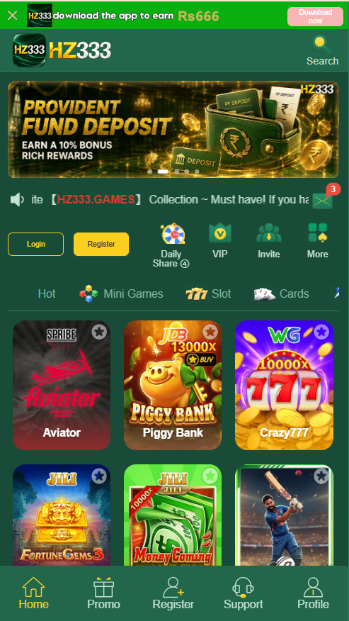 HZ333 Game
