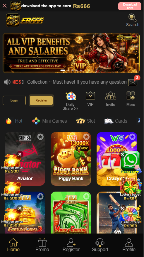 ER666 Game