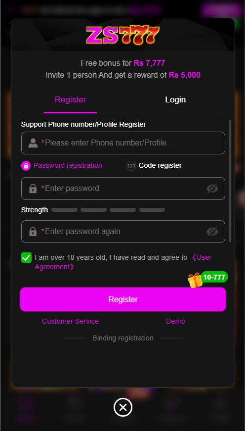 ZS777 Game Download Process