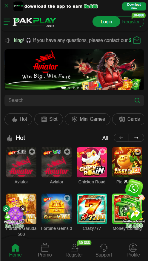 PAKPlay Game