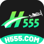 H555 Game App